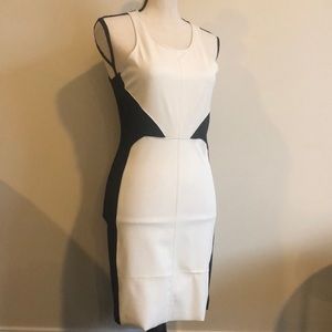 ZARA Textured Slimming Dress